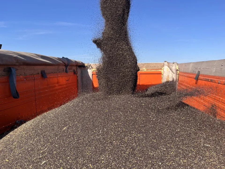 Фото: МедиаБанк Подмосковья/Ангелина Стельмух