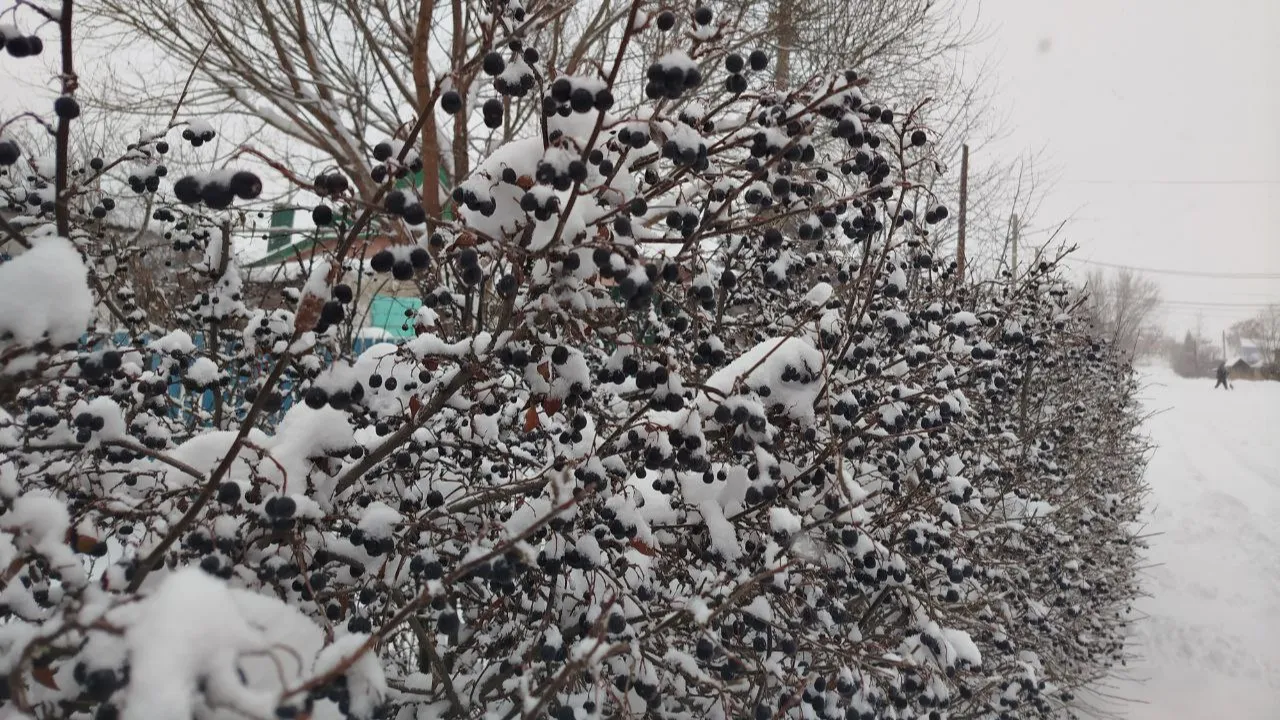 REGIONS/Юлия Куделькина