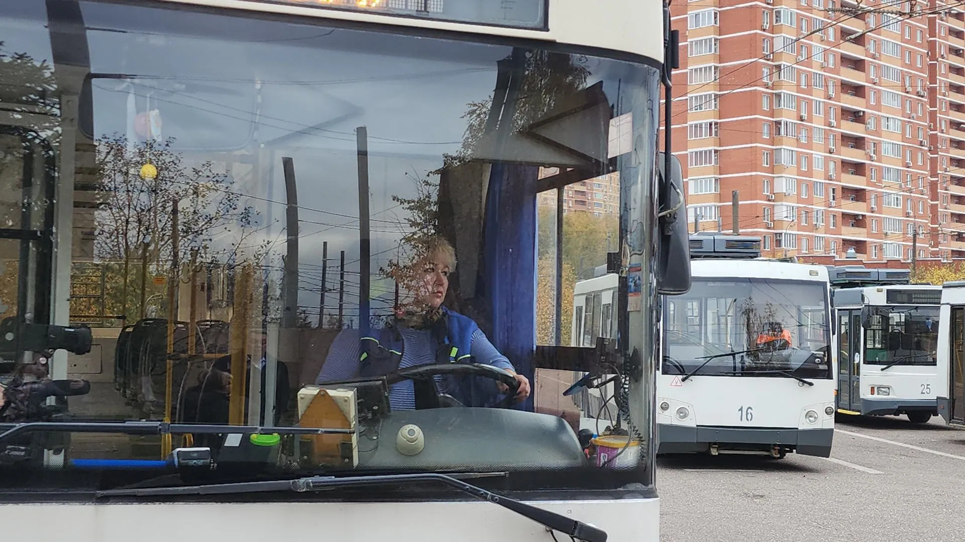 Мария Амелина