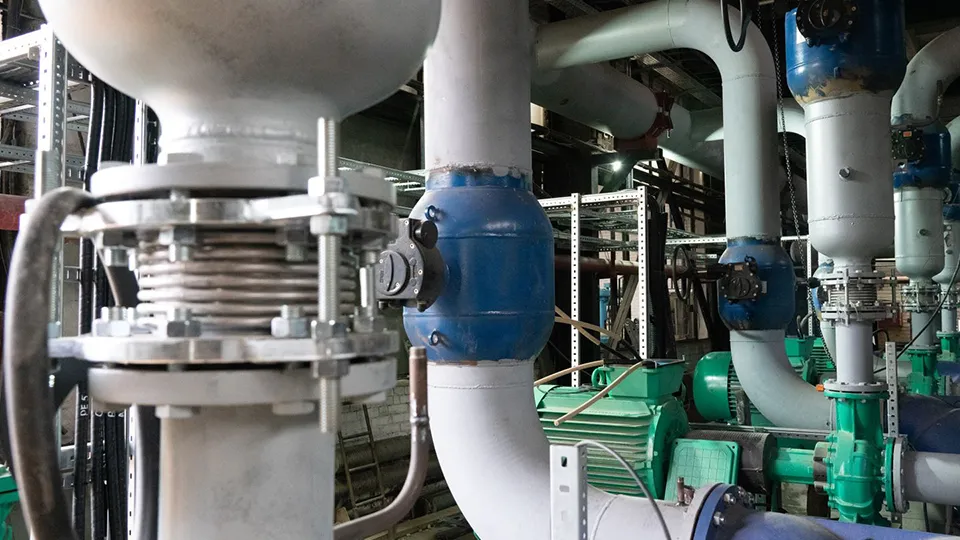 Фото: медиасток.рф