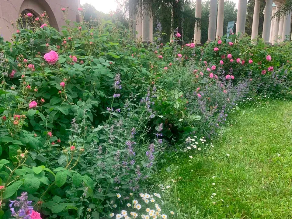 Фото: t.me/arhangelskoemuseum