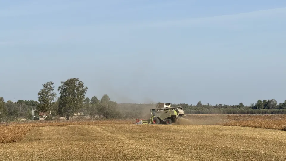 Фото: МедиаБанк Подмосковья/Татьяна Рунова