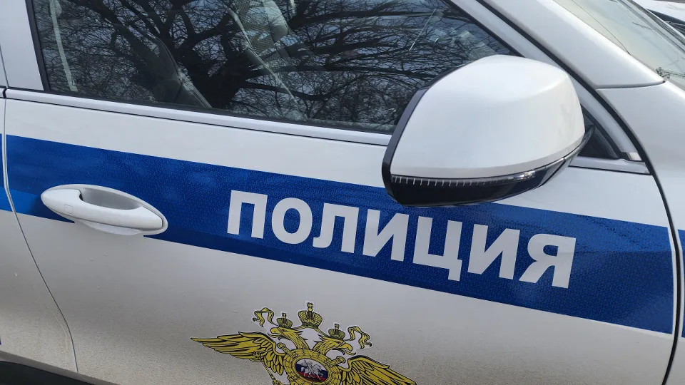 Фото: МедиаБанк Подмосковья/Ольга Сычева