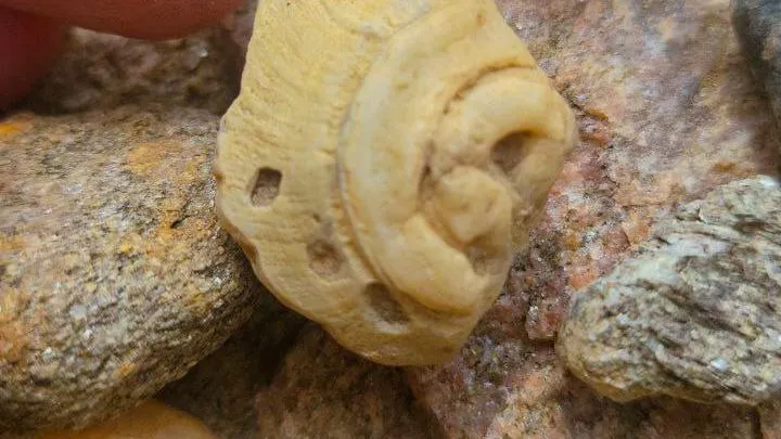 Фото: телеграм-канал «Красноармейский Крафт»