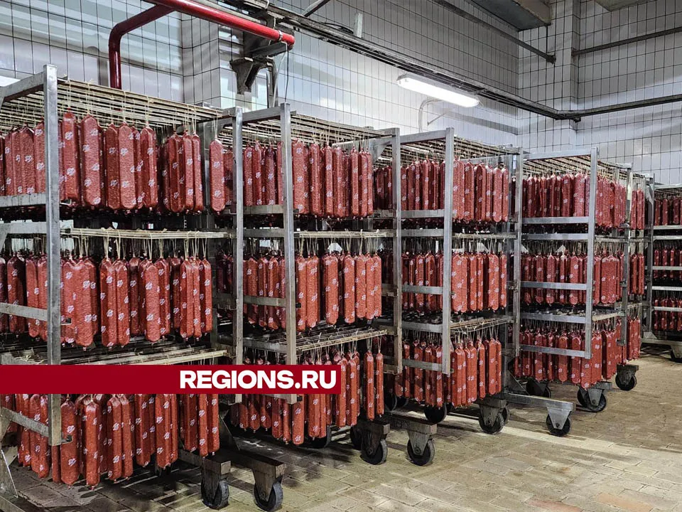 Фото: Медиабанк Подмосковья