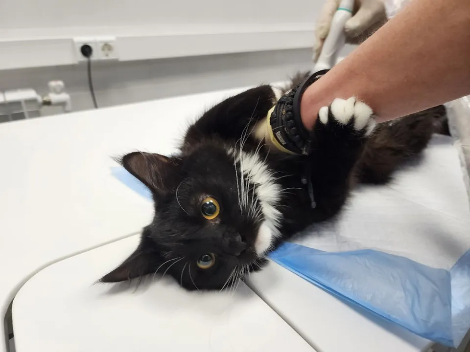 Фото: Мария Андрюхина