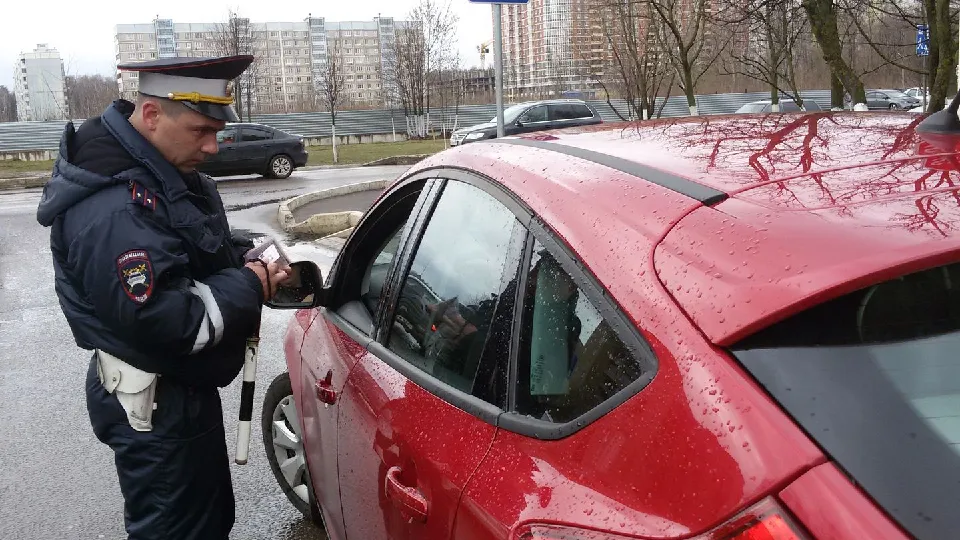 Фото: Медиаархив Подмосковья