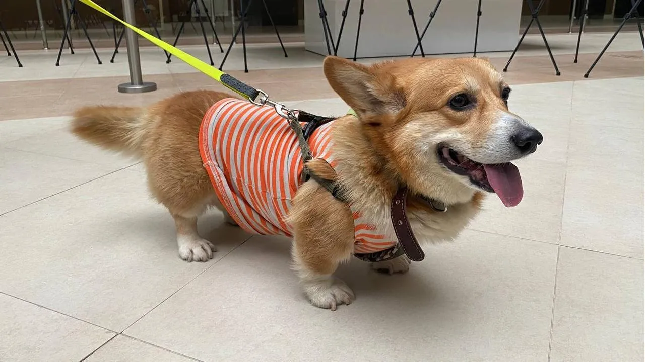 REGIONS/Дмитрий Некрасов