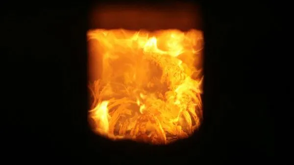 Москвич поджег сожительницу и ее сына в Домодедове, ребенок скончался