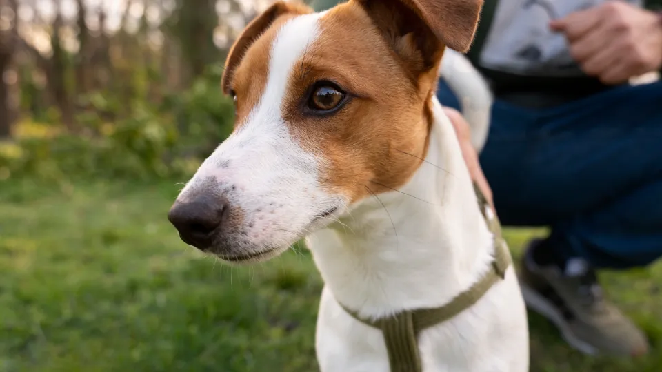 Фото: freepik.com