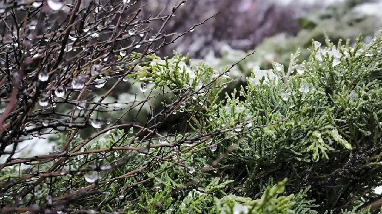 REGIONS/Роман Малышенко