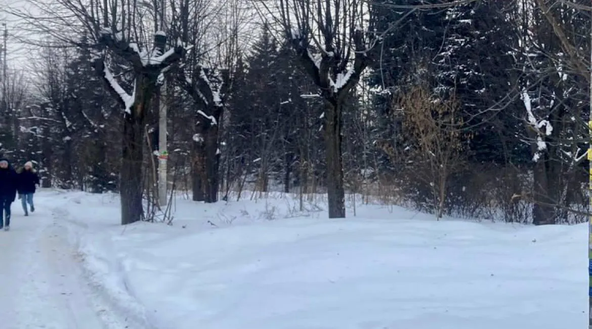 Участок после сноса аварийного здания. Фото: Мособлархитектура