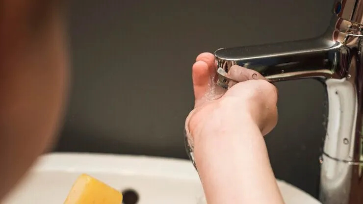 Фото: freepik.com