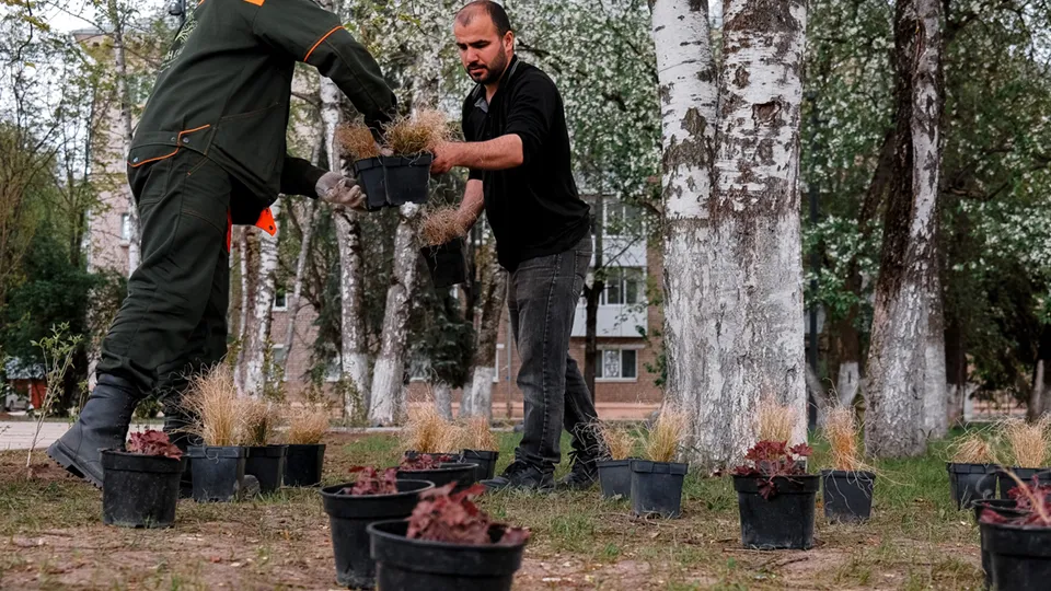 Фото: t.me/adm_DUBNA