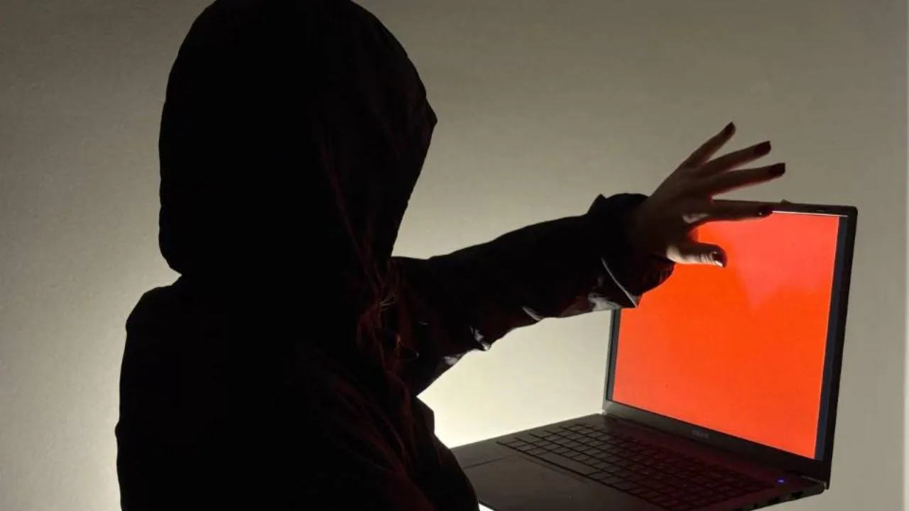 REGIONS/Полина Крачун