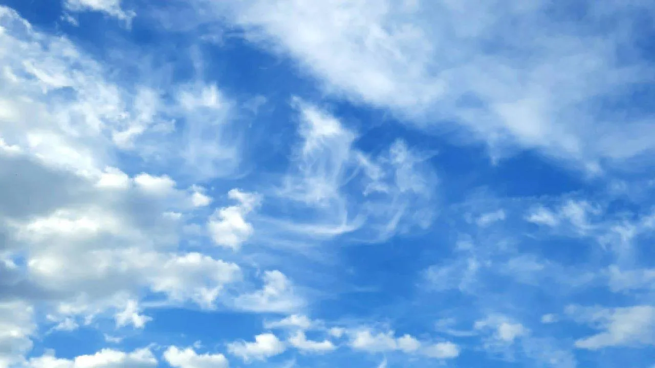 REGIONS/Дарья Кудинова