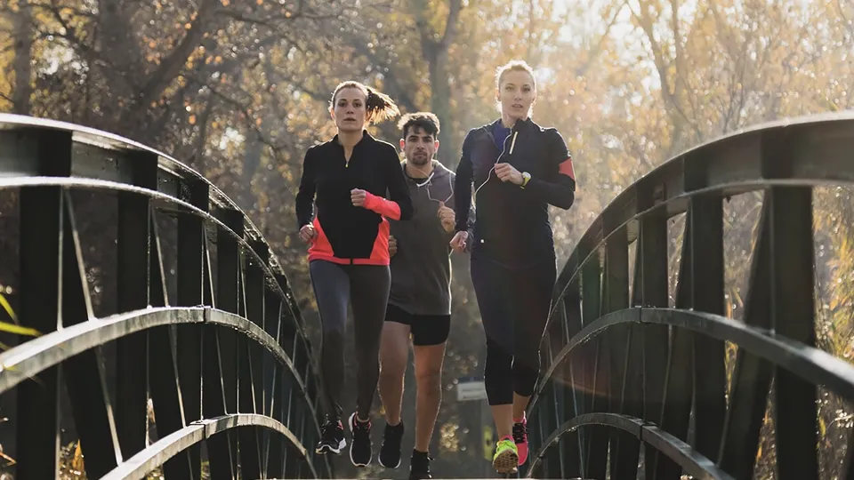 Фото: freepik.com