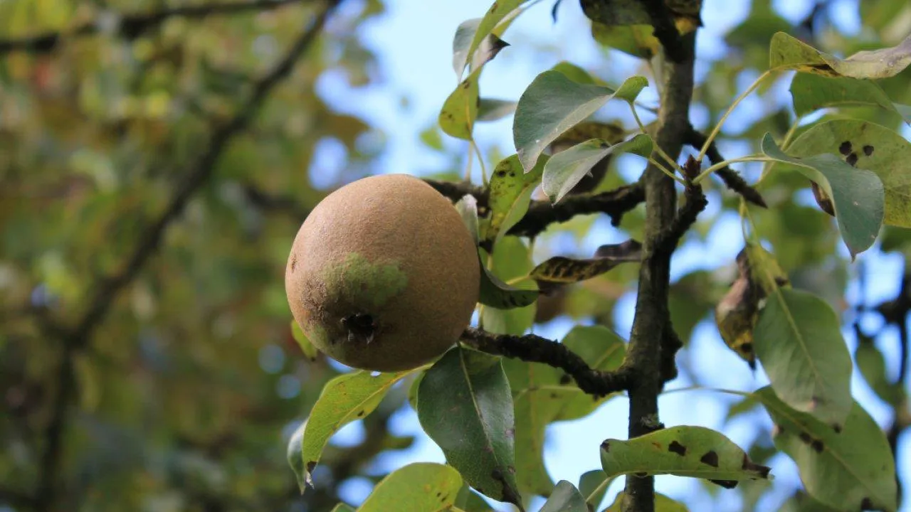 REGIONS/Илья Попов