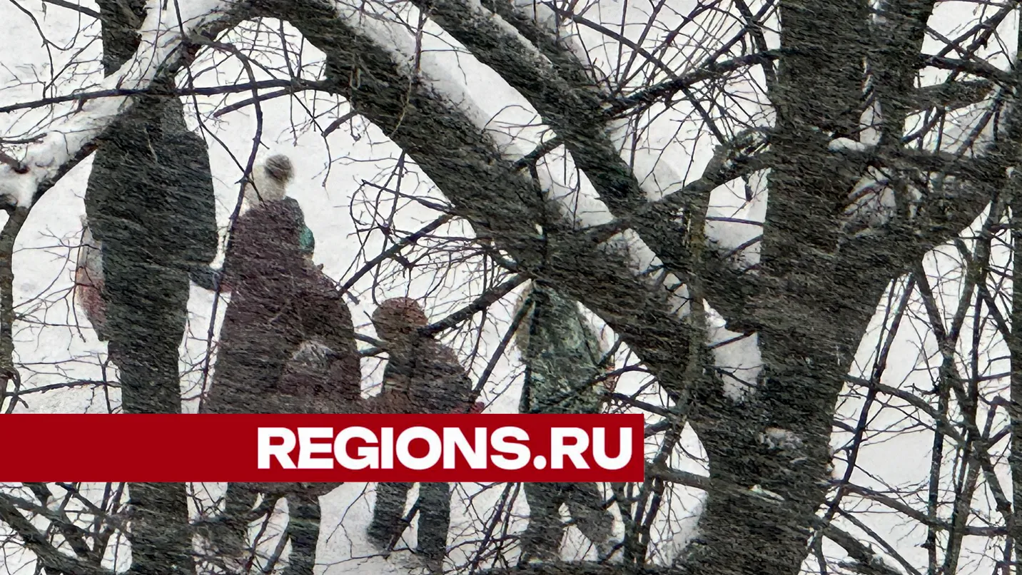 Фото: ©Александр Легкий