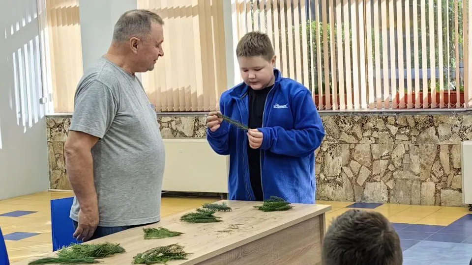 Фото: Комитет лесного хозяйства Московской области