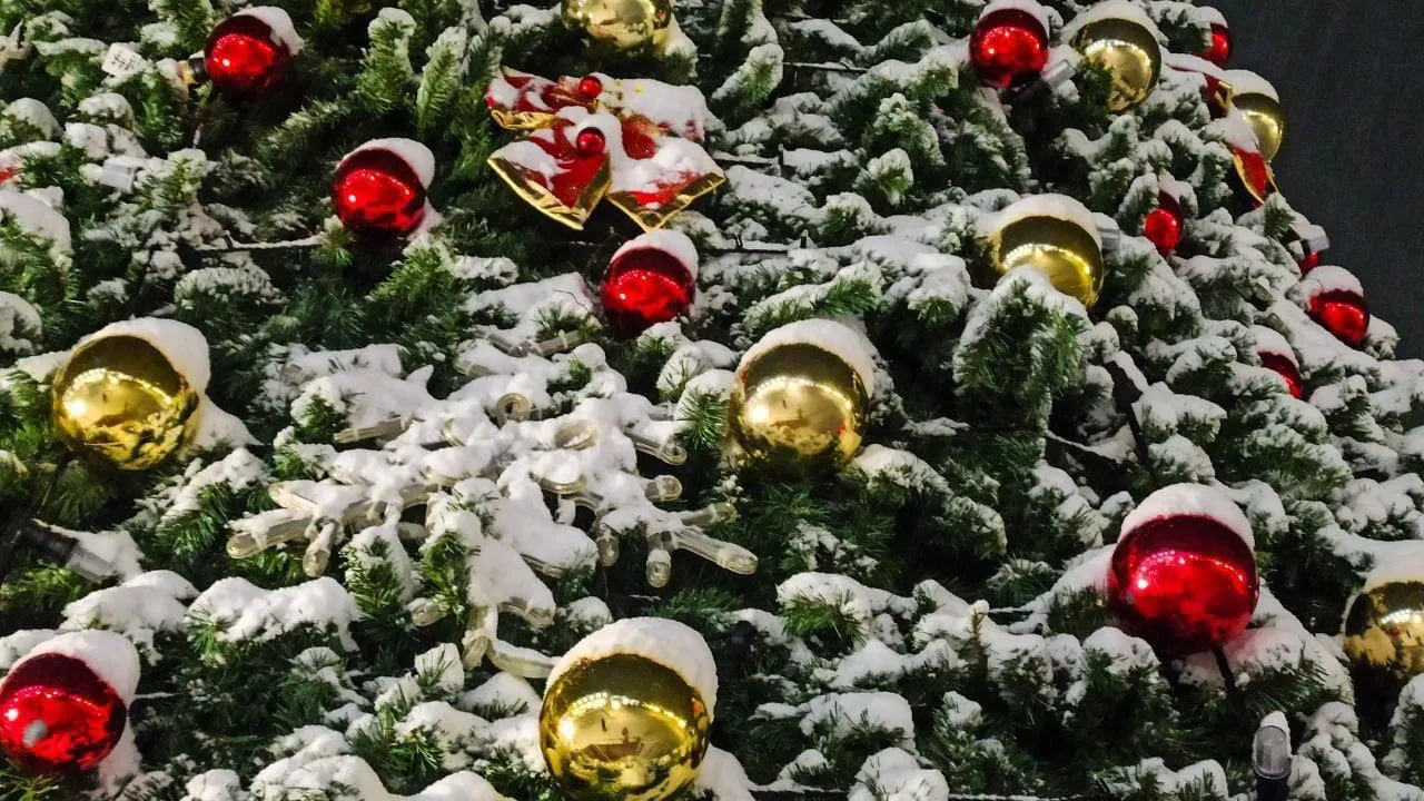 Фото: Даниил Коблов