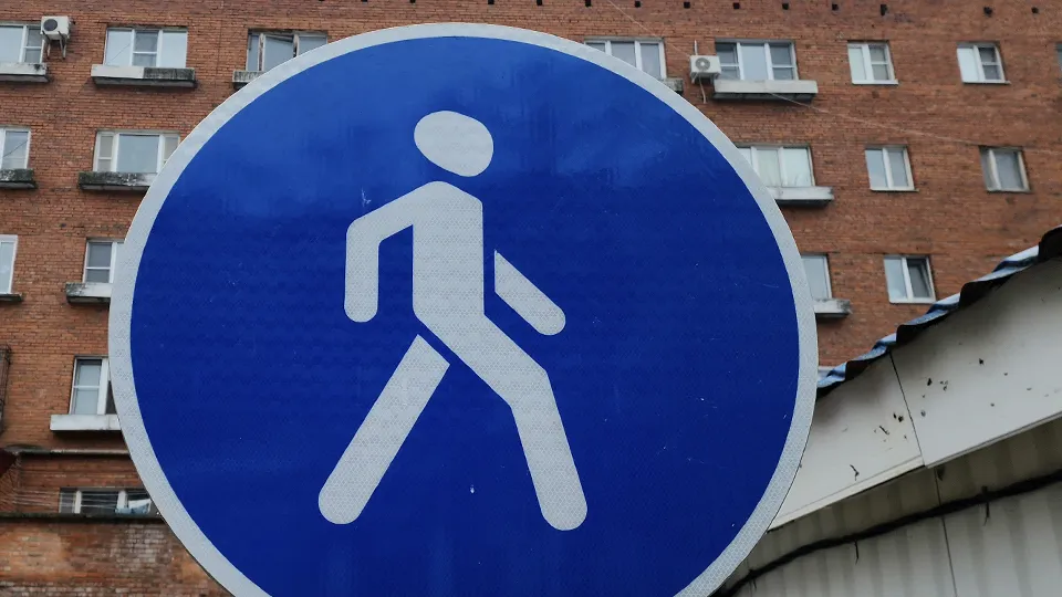 Фото: МедиаБанк Подмосковья/Мария Панина