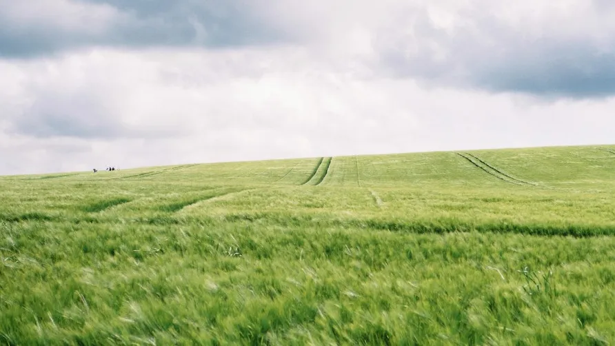 Фото: freepik.com