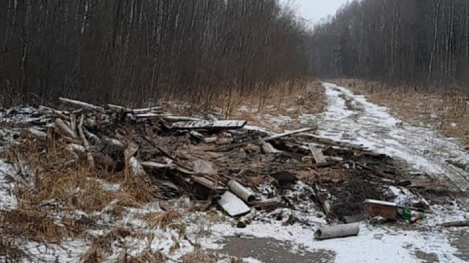 Фото: пресс-служба администрации г.о. Ступино