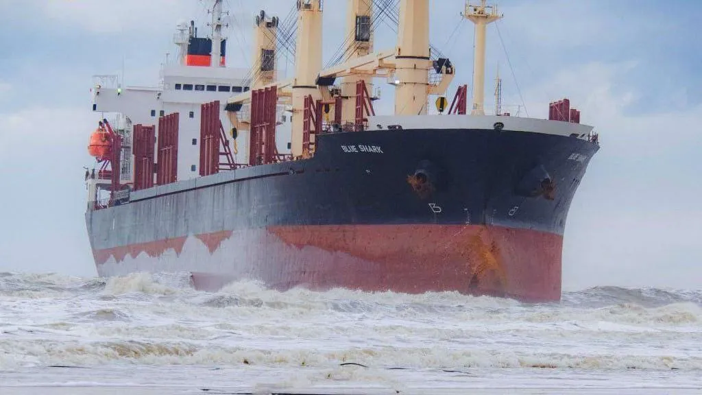 Фото из соцсетей