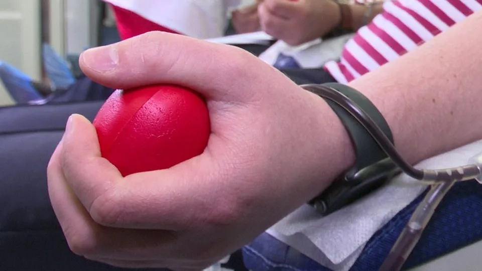 Фото: МедиаБанк Подмосковья/Ксения Казакова