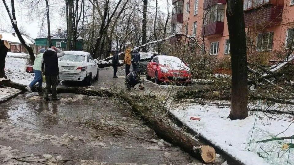 уборка упавшего на машину дерева (г. Чехов, ул. Солнышевская, д. 3А)