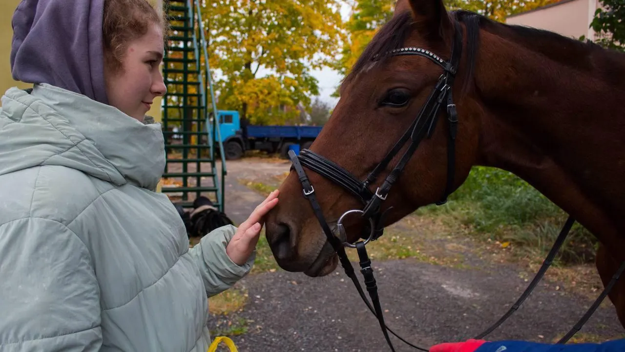 Министерство информационных и социальных коммуникаций Московской области
