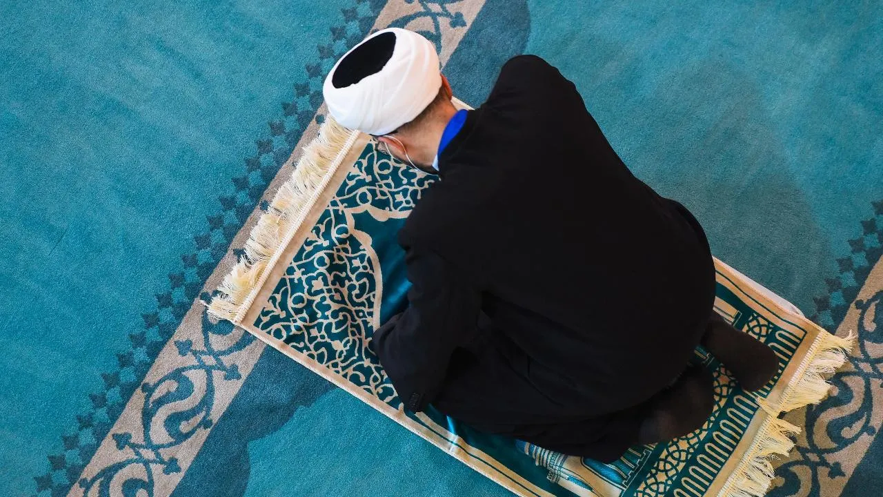 медиасток.рф