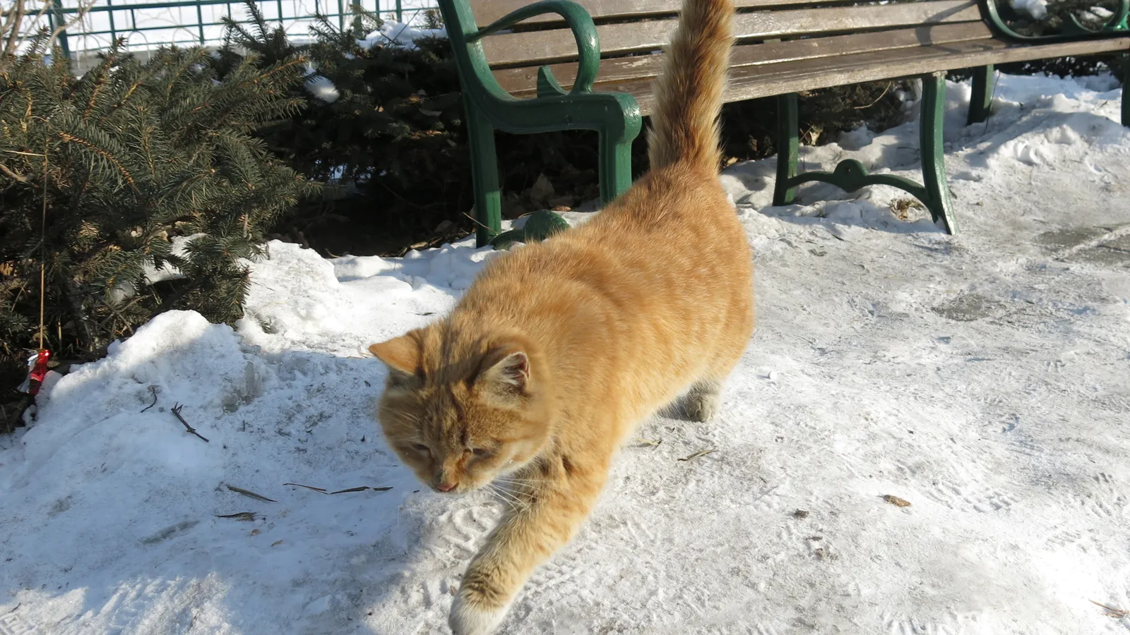 Фото: pxhere.com