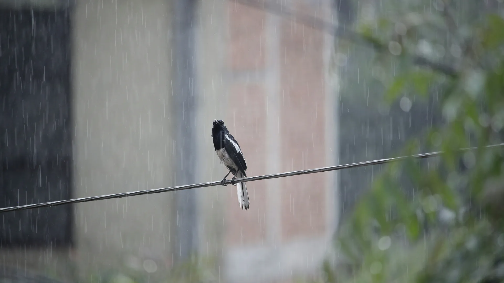 Фото: unsplash.com