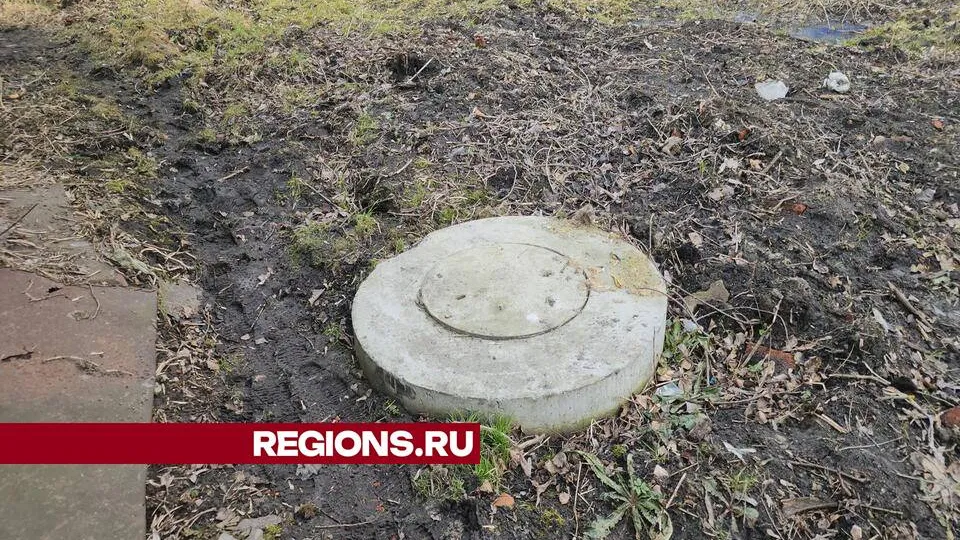 Фото: Ольга Сычева