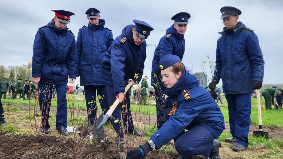 Фото: ГСУ СК России по Московской области