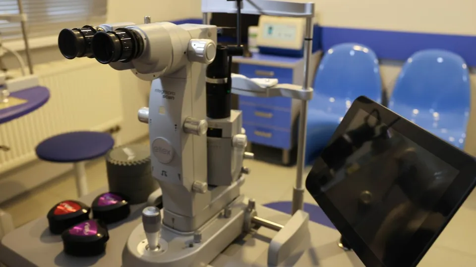 Фото: МедиаБанк Подмосковья/Ксения Казакова