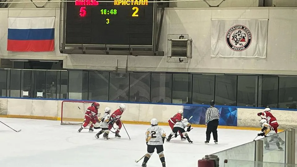 Фото: управление по физической культуре и спорту администрации г. о. Электросталь