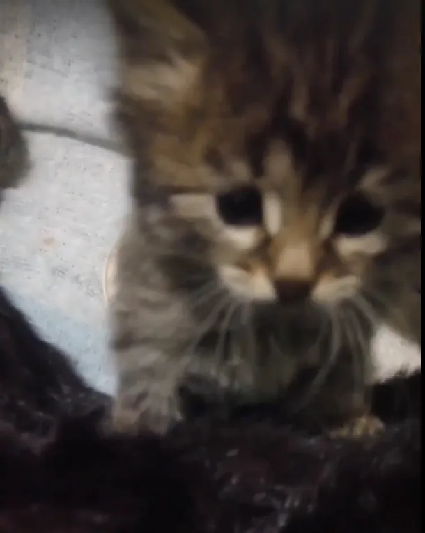 Фото: Подслушано на Глебовке (новая) / ВКонтакте