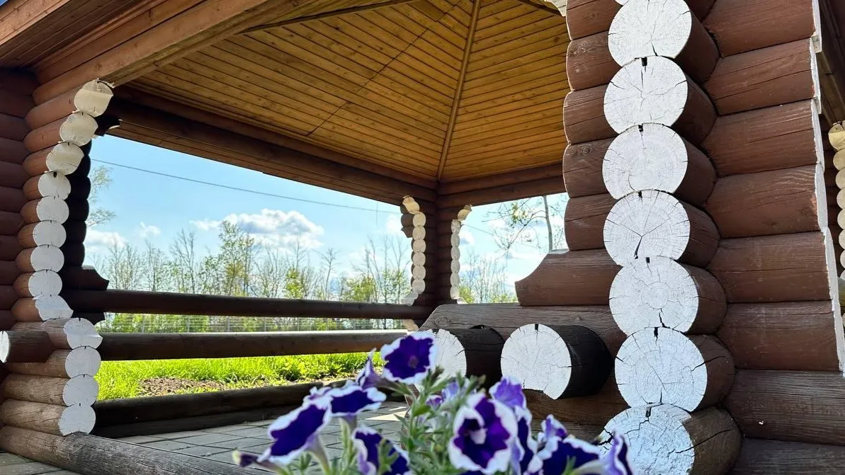 Фото: пресс-служба Администрации Можайского городского округа