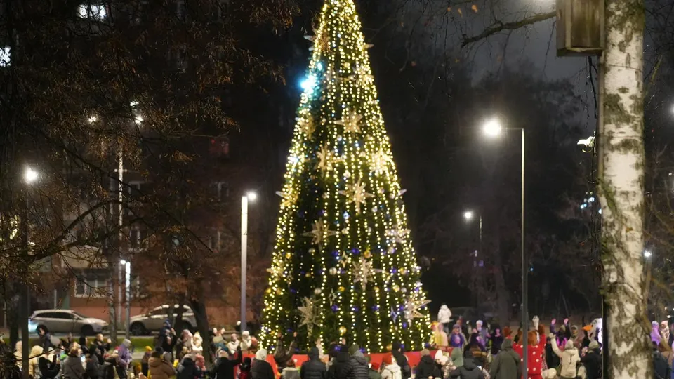 Фото: МедиаБанк Подмосковья/Мария Юдина