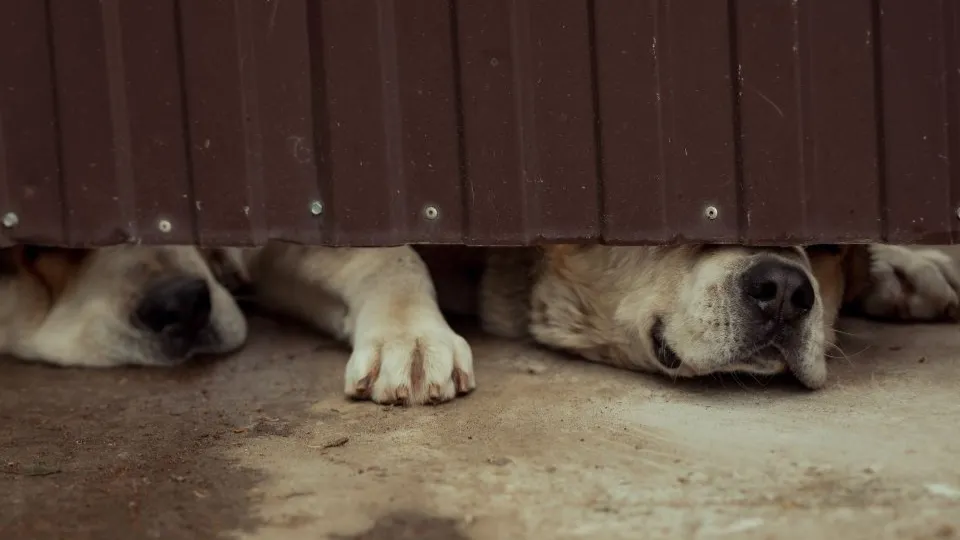 Фото: istockphoto.com