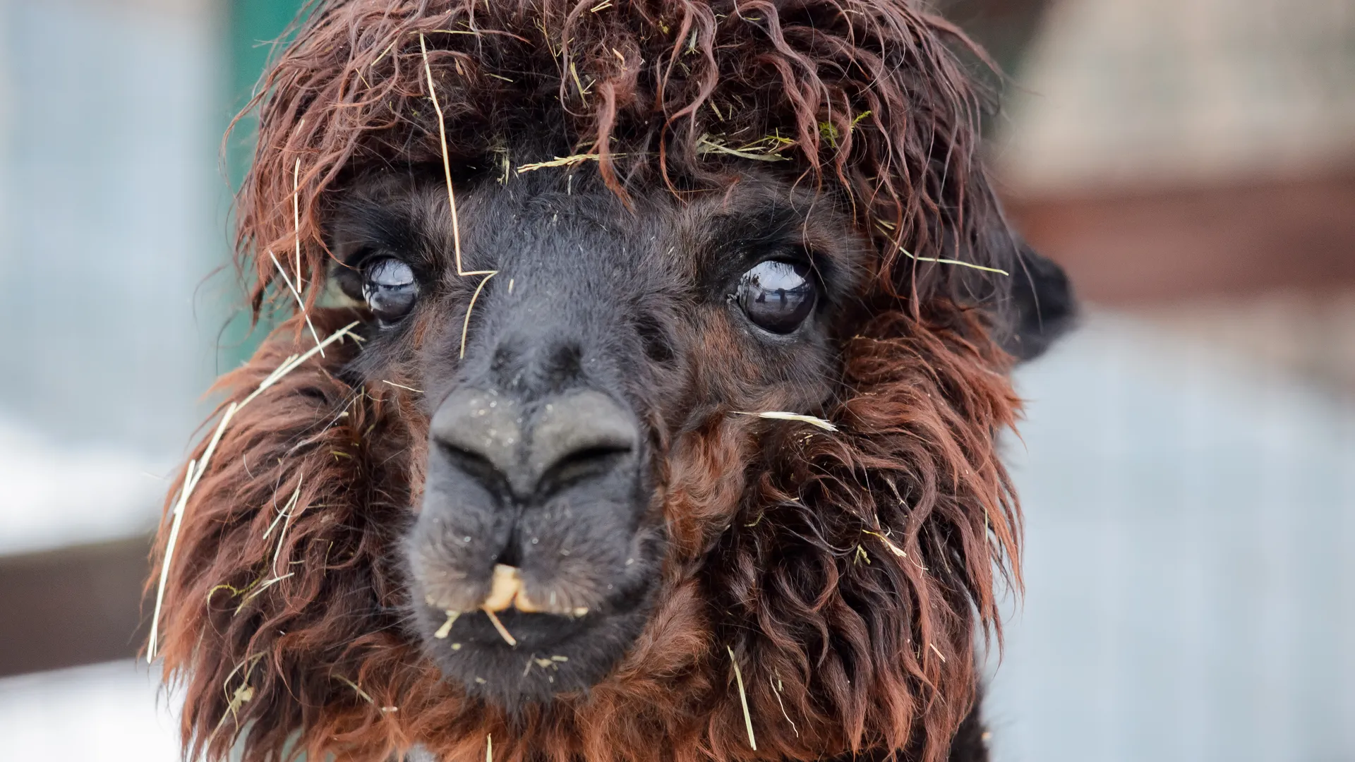 медиасток.рф