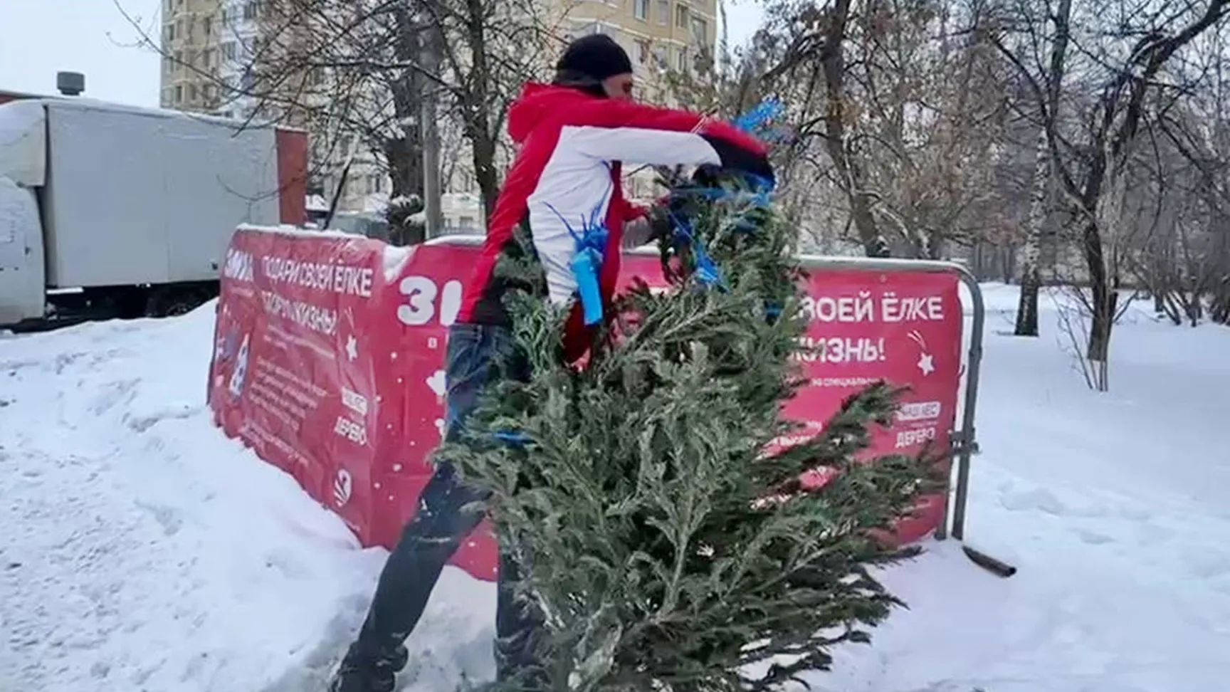 Фото: МедиаБанк Подмосковья/Ксения Казакова
