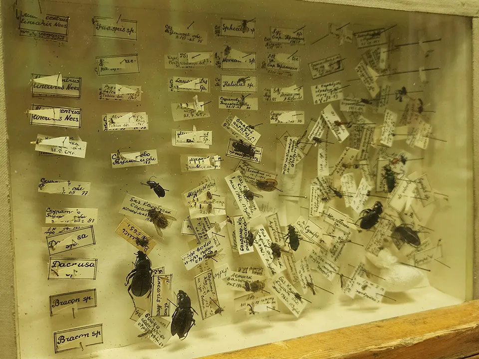 Фото: МедиаБанк Подмосковья/Роман Савельев