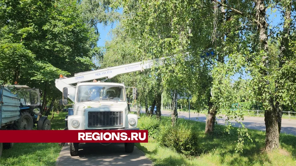 Фото: Мария Андрюхина