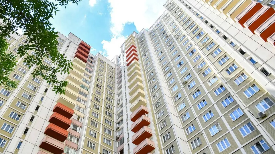 Фото: пресс-служба Администрации г.о. Химки