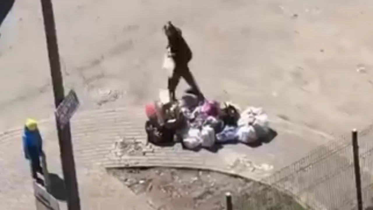 Фото: t.me/Podslushano_Vidnoe