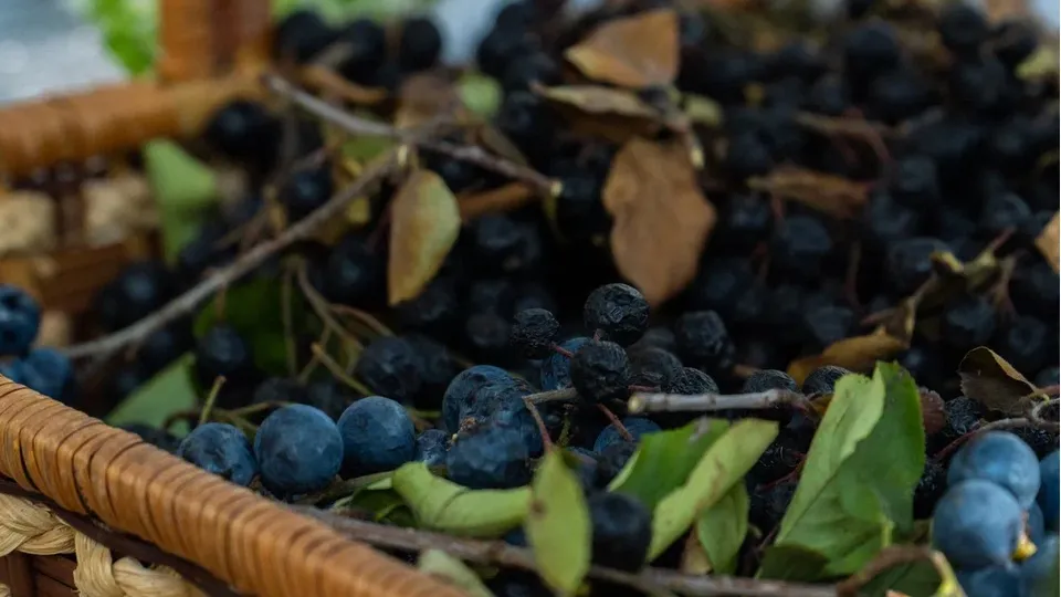 Фото: REGIONS/Наталия Надточая